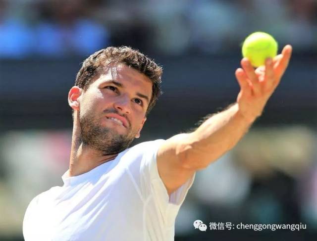 我们也看到 我们也看到