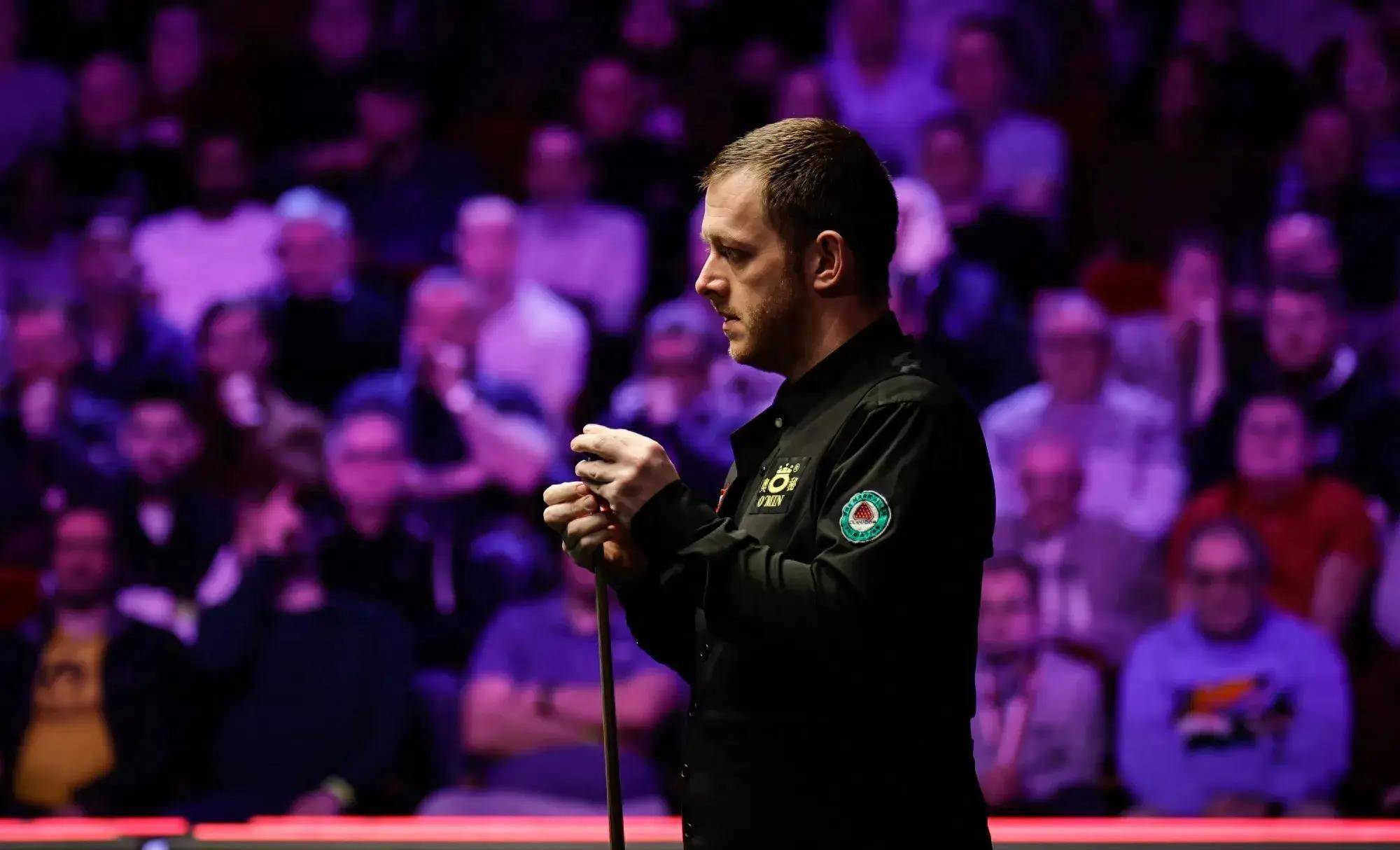 乔丹的黄蜂 乔丹的黄蜂